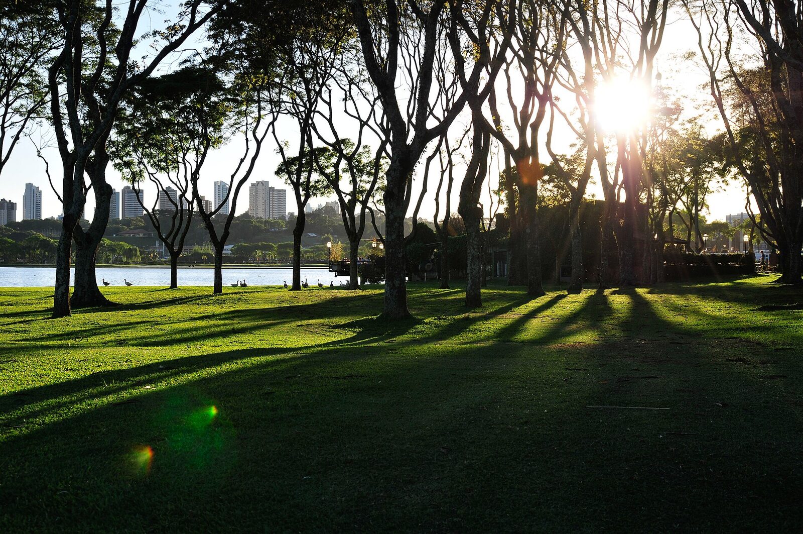 Gramado e lago do Parque Barigui ao pôr do sol