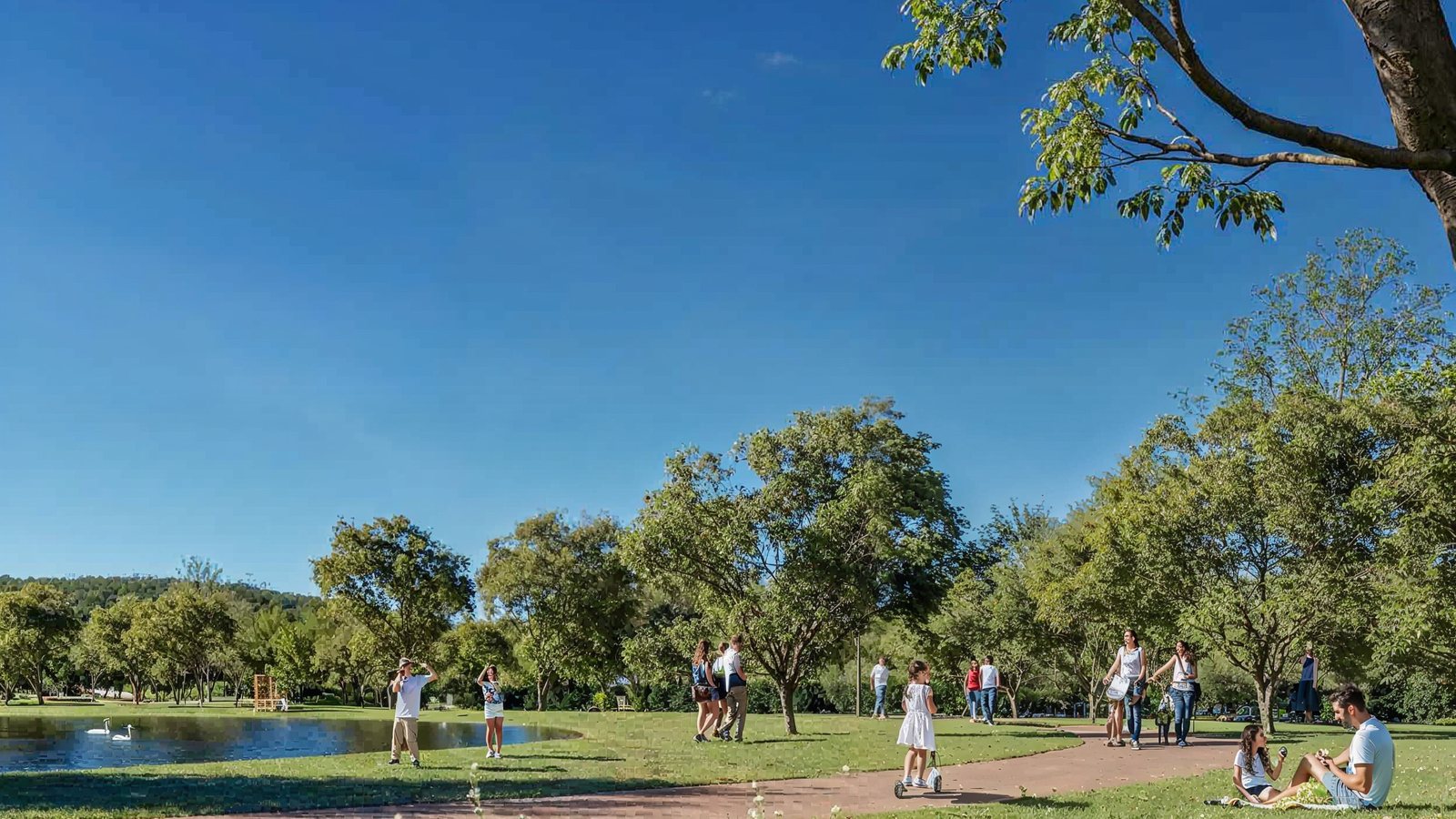 Vokkan entrega a expansão do Vivapark: 305 mil m² e o Parque Viva Equilíbrio